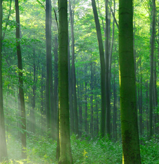 w66国际官网(中国)最给力的老牌娱乐 - welcome