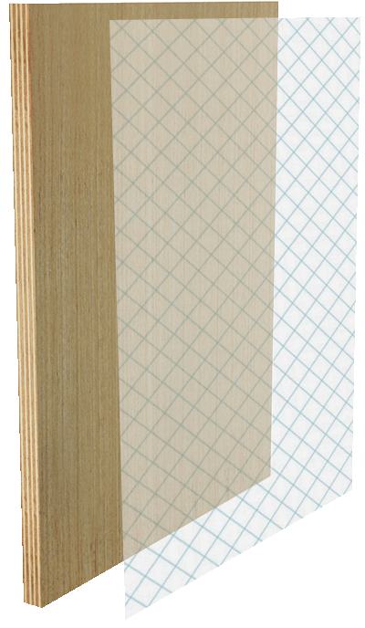 w66国际官网(中国)最给力的老牌娱乐 - welcome