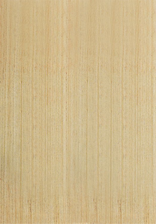 W66最给力的老牌娱乐难燃板