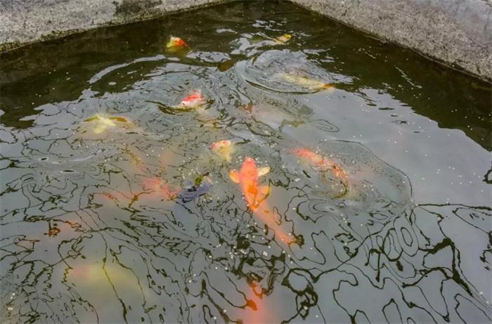 w66国际官网(中国)最给力的老牌娱乐 - welcome