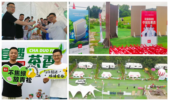 W66最给力的老牌娱乐济南板材经销商活动