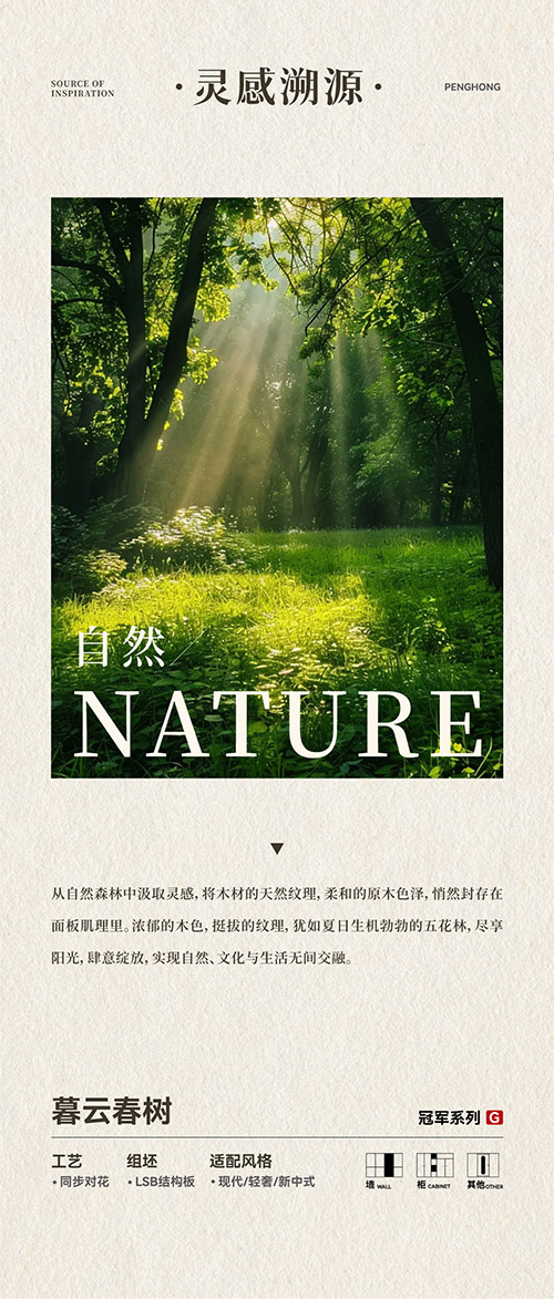 W66最给力的老牌娱乐LSB结构板