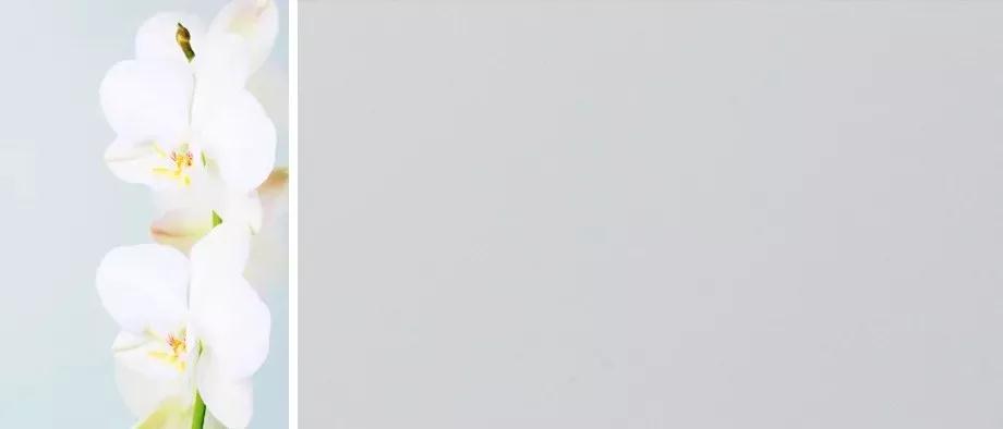 w66国际官网(中国)最给力的老牌娱乐 - welcome