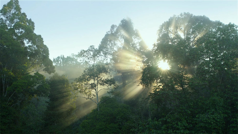 w66国际官网(中国)最给力的老牌娱乐 - welcome