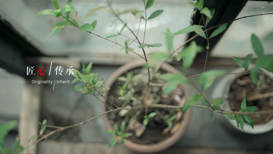 w66国际官网(中国)最给力的老牌娱乐 - welcome