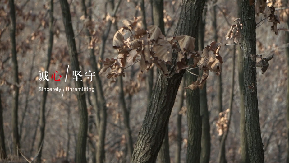 w66国际官网(中国)最给力的老牌娱乐 - welcome