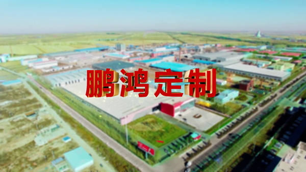 W66最给力的老牌娱乐产品纪录片之定制篇